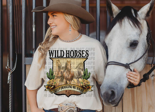 WILD HORSES