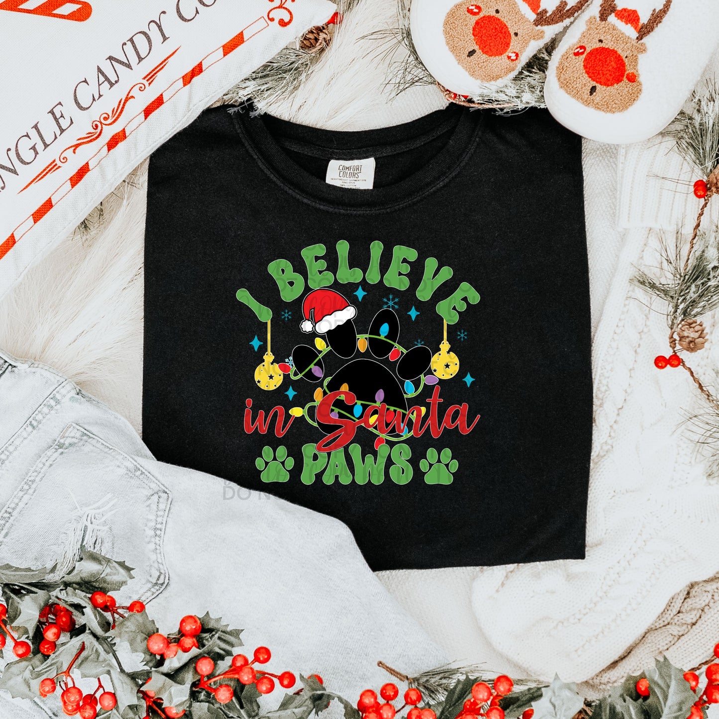 I believe in Santa Paws